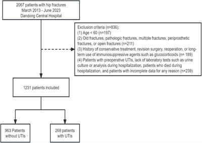 Glucose-albumin ratio (GAR) as a novel biomarker of postoperative urinary tract infection in elderly hip fracture patients